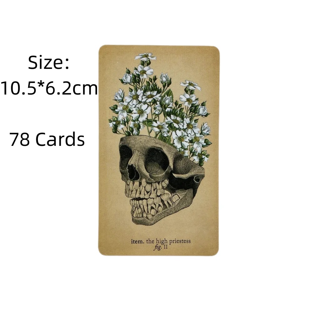 การ์ดไพ่ทาโรต์กายวิภาคโบราณ A  - Card Game Deck บทวิจารณ์และราคา