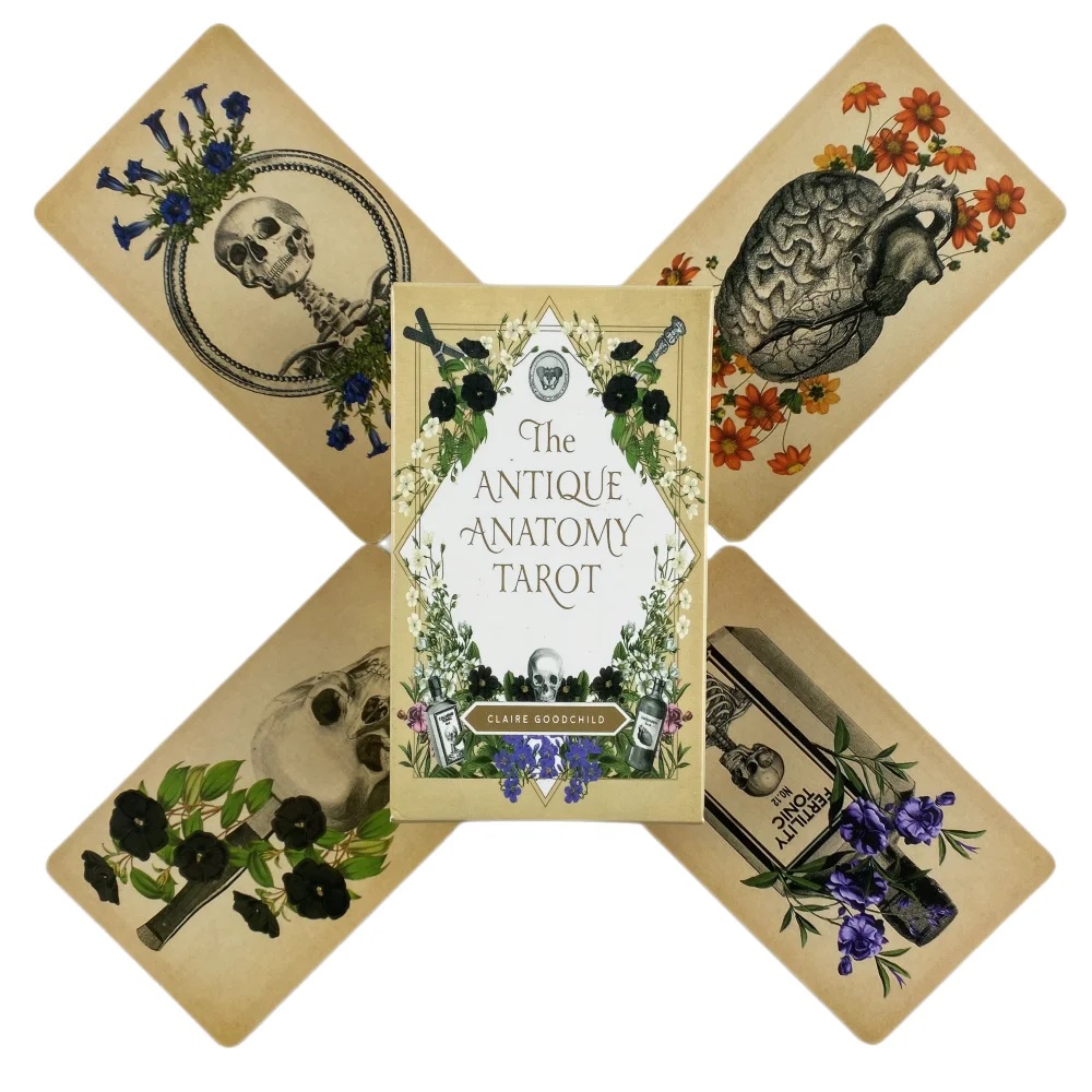 การ์ดไพ่ทาโรต์กายวิภาคโบราณ A  - Card Game Deck บทวิจารณ์และราคา